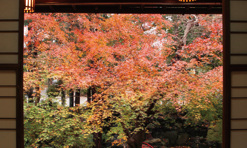 月の間（2階）2